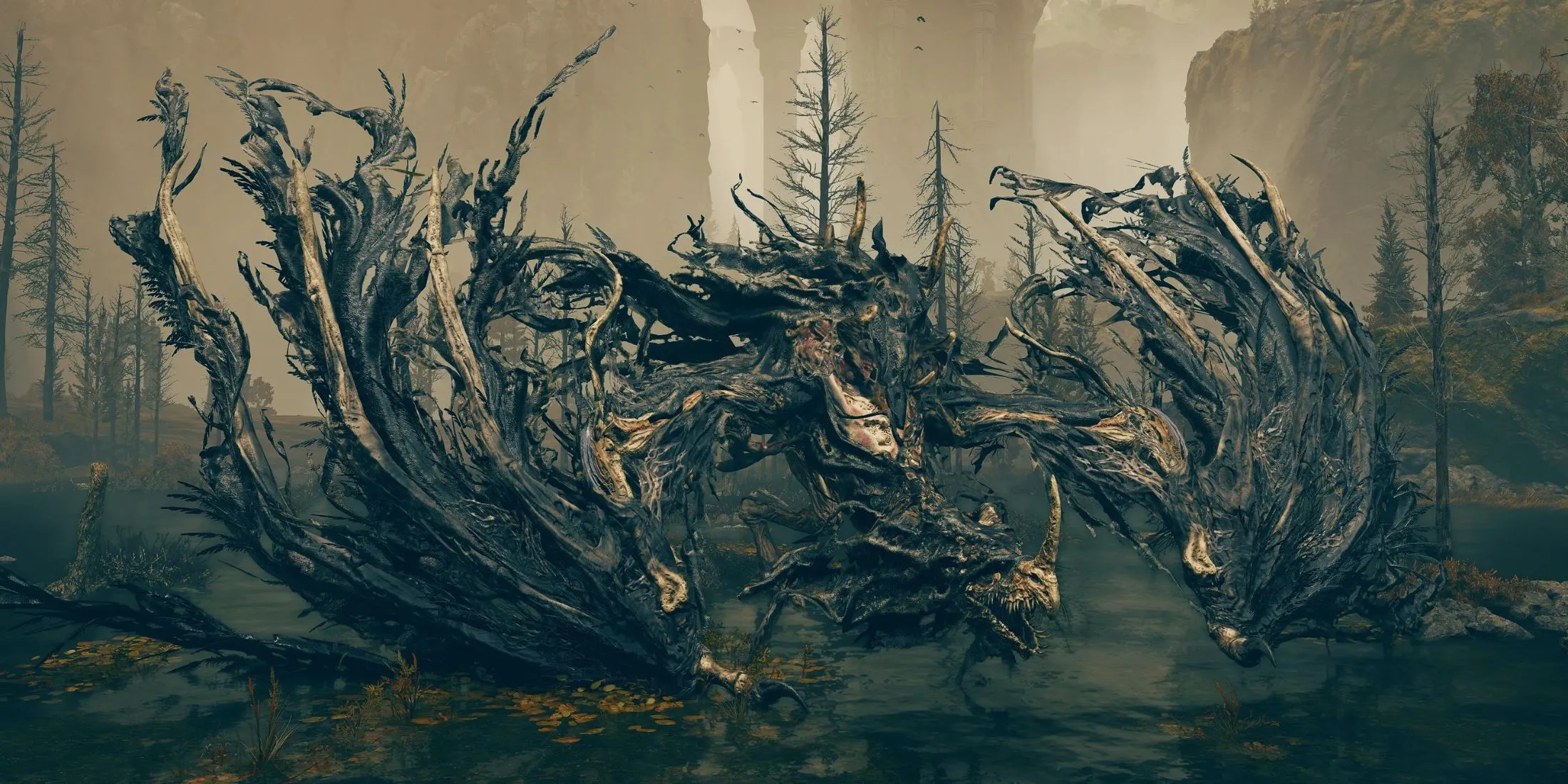 二连冠野猫,对阵墨尔本,专家午场解,宝博斗地主,斗地主游戏,斗地主玩法介绍,棋牌游戏资讯,斗地主娱乐