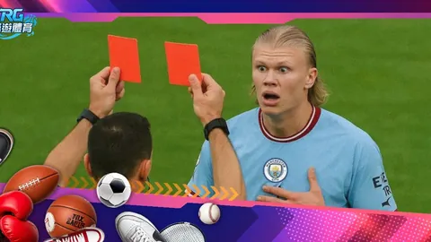 戴琳揭露惊人内幕：潘硕拒金钱，潘母昏迷中仍坚持核对账目！