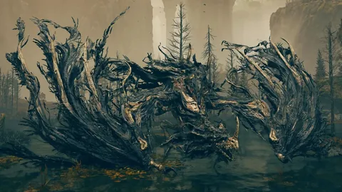 NBL二连冠野猫对阵墨尔本专家午场解析